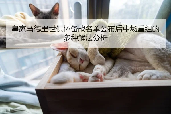 皇家马德里世俱杯备战名单公布后中场重组的多种解法分析