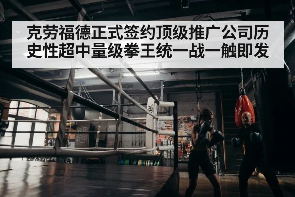 boxer training