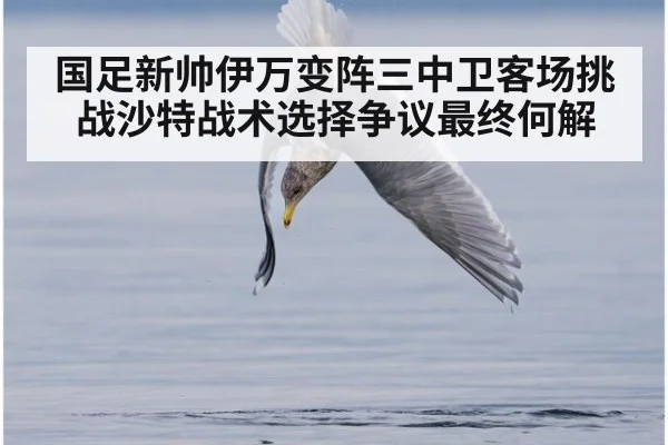 国足新帅伊万变阵三中卫客场挑战沙特战术选择争议最终何解
